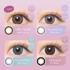 【日本美瞳/日本直邮】 Angelcolor Bambi Series 月抛美瞳 1month【1箱2枚入】含水率38.0% BC 8.6mm 直径14.5/15.0mm