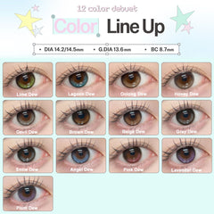 日本直邮-Dewlit高透氧&防紫外线日抛美瞳/隐形眼镜-10片装-DIA 14.5mm | BC 8.7mm | 含水率 47.0%