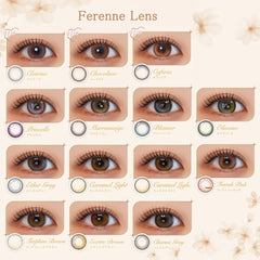 日本直邮-Ferenne日抛美瞳/隐形眼镜-10片装-DIA14.2/14.5mm | BC8.7/8.8mm | 含水率38.5%/58%