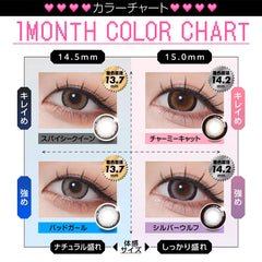 日本直邮-RESAY月抛美瞳/隐形眼镜-2片装-DIA14.5/15.0mm | BC8.6/8.7mm | 低含水38%