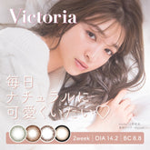 日本直邮-Victoria双周抛美瞳/隐形眼镜-6片装-DIA14.2mm | BC 8.8mm | 含水率38.0%