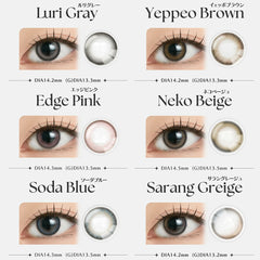 【日本美瞳/日本直邮】ANGELIQUE 1DAY 日抛美瞳 1day【1箱10枚入】 含水率38.5% BC8.6mm 直径14.2mm/14.5mm