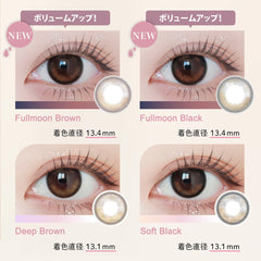 日本直邮-Ann365Lens Lunan Lumie日抛美瞳/隐形眼镜-10片装-DIA14.2mm | BC8.6mm | 含水率58.0%