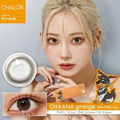 【日本製カラコン/日本直送】N'sCOLLECTION ワンデー 1箱10枚入り 直径14.2mm 渡辺直美 高含水55%