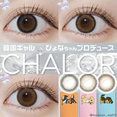 【日本製カラコン/日本直送】N'sCOLLECTION ワンデー 1箱10枚入り 直径14.2mm 渡辺直美 高含水55%