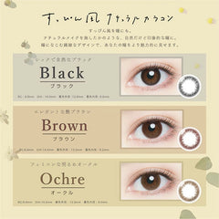 【日本美瞳/日本直邮】Artiral 1day 日抛美瞳 1day【1箱10枚入】含水率 38.0% BC8.6mm 直径 14.0mm