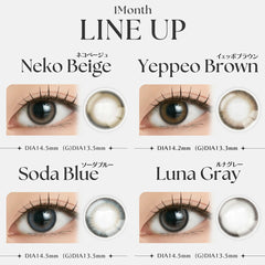 【日本美瞳/日本直邮】ANGELIQUE 1MONTH 月抛美瞳 1month【1箱2枚入】含水率38.5% BC8.6mm 直径14.2mm/14.5mm