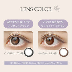 日本直邮-Angel Eyes日抛美瞳/隐形眼镜-10片装-DIA14.0mm | BC 8.6mm | 含水率38.0%