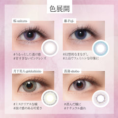 [Japanese Colored Contact Lenses/Direct Shipping from Japan] artiral [6 lenses per box] 2-week disposable lenses, 14.0mm, 38% water content, UV protection 