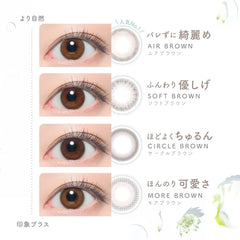 日本直邮-Purity circle 1day日抛美瞳/隐形眼镜-10片装-DIA14.0mm | BC 8.6mm | 含水率55%