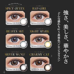 日本直邮-Resay日抛美瞳/隐形眼镜-10片装-DIA14.5/15.0mm | BC8.6/8.7mm | 含水率38.0/55.0%