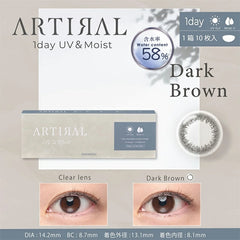 【日本美瞳/日本直邮】 ARTIRAL 1day 58UVM 日抛 1箱10枚 直径(DIA)14.2mm  含水率58.0%  BC8.7mm 防UV