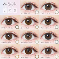 【日本美瞳/日本直邮】EVER COLOR 1day Natural  UV 20枚 14.5mm 含水率：42.5%