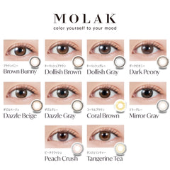 日本直邮-Molak月抛美瞳/隐形眼镜-2片装-DIA14.2mm | BC 8.6mm | 含水率38.0%